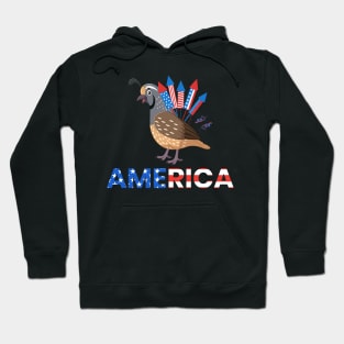 Quail Fireworks Quail America Hoodie